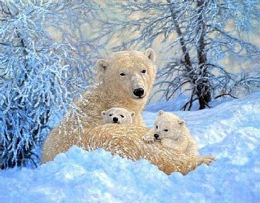 Northern Family - polar bears  by Beth Hoselton