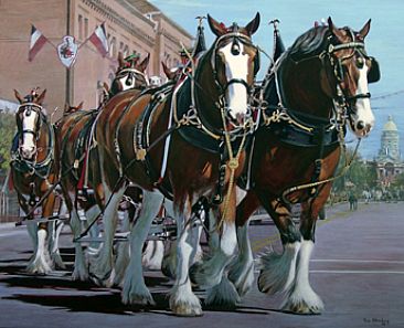 Parade Stars - Clydesdales in the Cheyenne Frontier Days Parade by Tom Altenburg