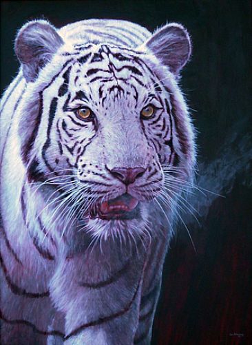 Warm Whiskers - White Tiger by Tom Altenburg
