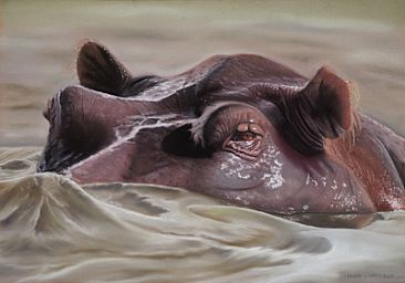 Periscope Depth - Hippopotamus by Edward Hobson