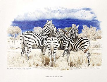 Storm Over Broken Stripes - A family of Zebra's together as a storm approaches by Chris McClelland