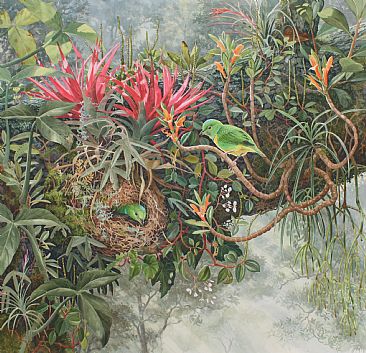 Chlorophonias - Chlorophonias (neo tropical birds) by Daniel Davis