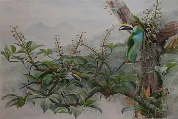 Emerald Toucanets II - Guatemalan Cloud Forest Birds by Daniel Davis