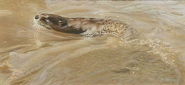 Water Dance - Otter by Tim Donovan
