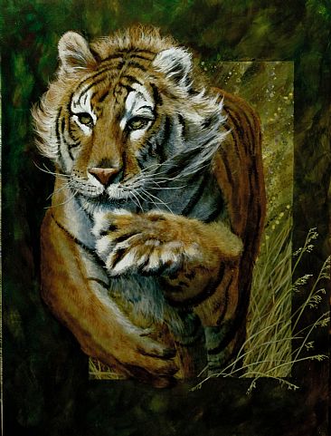  - tiger by Emily Lozeron