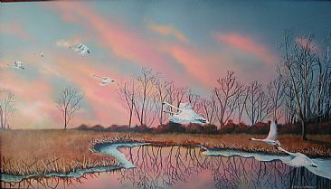 Springtime Flight - Trumpeter swans by Emily Lozeron