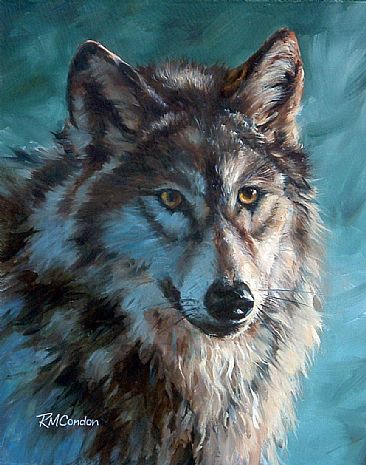 Grey Wolf Study - Grey Wolf by RoseMarie Condon