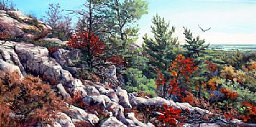 Riding The Wind - La Cloche Mountains and Eagle by RoseMarie Condon