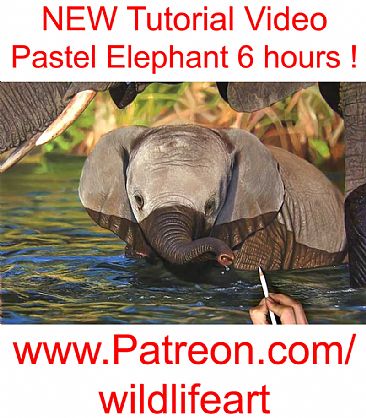 Pastel Ele Video - Elephant Tutorial by Jason Morgan