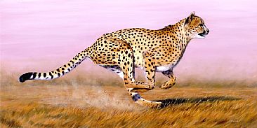 Cheetah - Latest Giclee - Cheetah - big cats by Jason Morgan