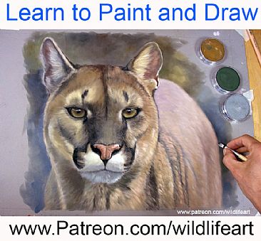 Learn pastels + oils - big cats by Jason Morgan