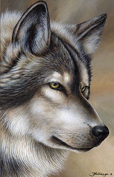 Ladykiller (Sold)  - Wolf by Claude Thivierge