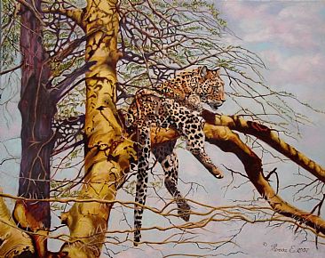 Leopard Fever SOLD - leopard in fever tree - Serengeti by Theresa Eichler