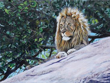 Regal Rogue (study) - lion on rock with fig tree behind by Theresa Eichler