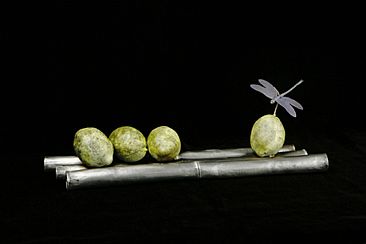 Ko Phi-Phi - lemons and dragonfly by Diana Reuter-Twining