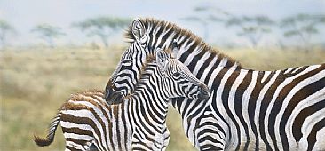 Analinda - Zebra mare and foal by Peta Boyce