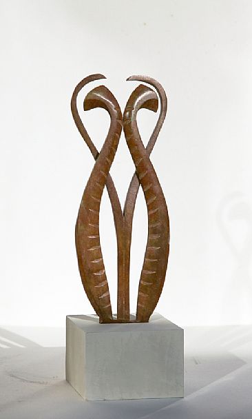 Feather form - Sculpture based on Lyrebird. by Martin Hayward-Harris