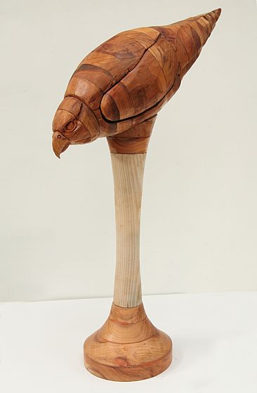 Stooping Falcon - woodcarving of life-size falcon by Martin Hayward-Harris