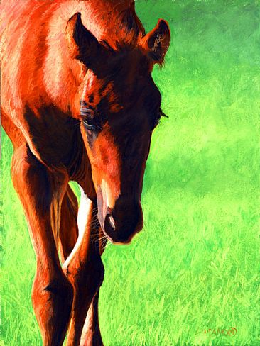 Nosing into the World - Foal by Patsy Lindamood