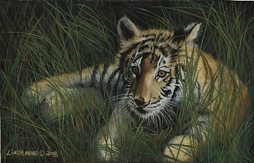 Cub at Rest - Tiger by Patsy Lindamood