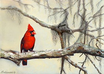 A Bright Moment in an Otherwise Dreary Winter Day - Northern Cardinal by Patsy Lindamood