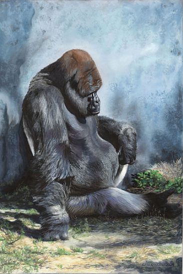 Pondering Diminishing Options - Silverback Gorilla by Patsy Lindamood