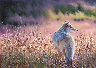 Scoping the Horizon - Coyote by Patsy Lindamood