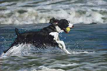Seaside Romp - Dog by Patsy Lindamood