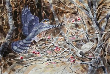  - Sparrowhawk & Willow Tit by Eriko Kobayashi
