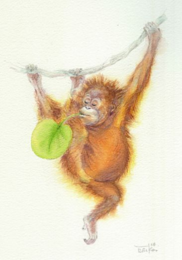 Acrobat - Orangutan by Eriko Kobayashi
