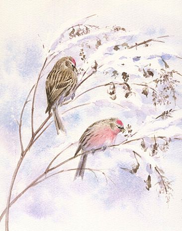 Redpolls in winter - Redpoll by Eriko Kobayashi