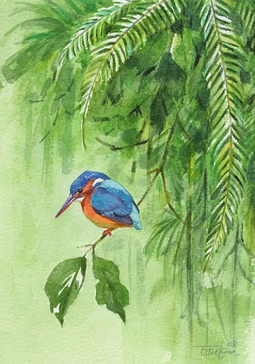 Little Blue - Blue-eared Kingfisher by Eriko Kobayashi