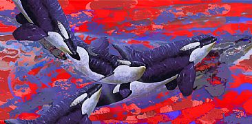 Shadows 2 - Killer Whales  by Barry Ingham