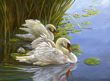 Together for Life - Mute Swans on a pond with water lilies by Mary Louise Holt