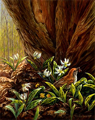 Wood Thrush Woodland Fare - Wood Thrush and Trout Lilies  by Mary Louise Holt