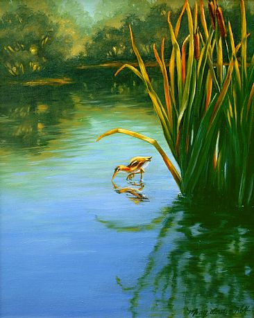 The Least's Last Light before Night - A Least Bittern feeds in a pond as the sun sets by Mary Louise Holt