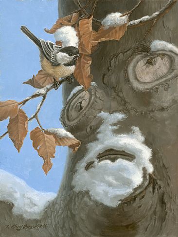 Oh, The Stories He Could Tell - Chickadee in an American beech tree by Mary Louise Holt