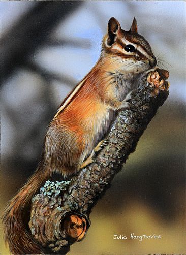 The View From Here SOLD - Chipmunk by Julia Hargreaves
