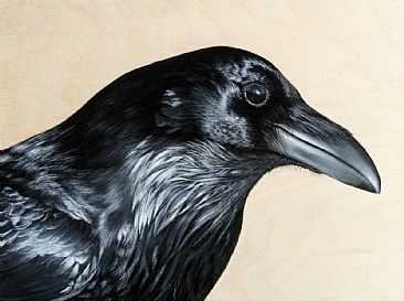 Raven - Raven by Julia Hargreaves