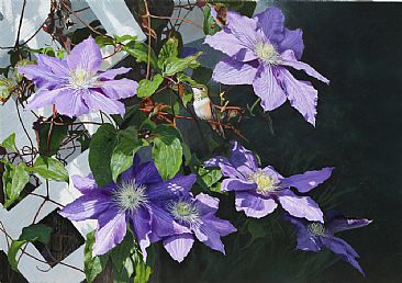 Flower Stop SOLD - Clematis and hummingbird by Julia Hargreaves