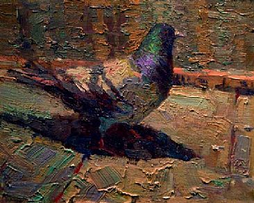"Everyday Iridescence" - Pigeon by David Gallup