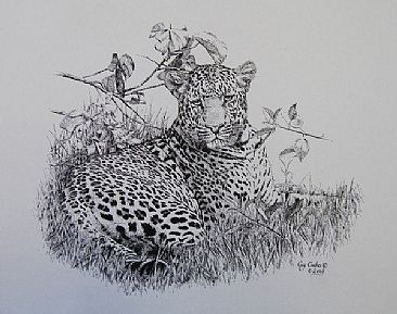 Leopard -  by Guy Combes
