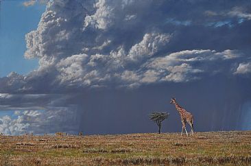 The Blessing of Enkai - Reticulated Giraffe by Guy Combes