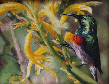 Nectar - Sugarbird by Michelle McCune