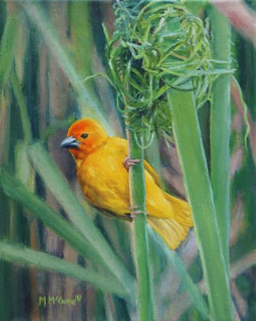 Planning - Weaver bird by Michelle McCune