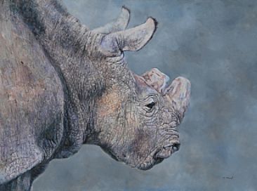 Sudan - Facing Extinction - Sudan - last male northern white rhinocerous by Michelle McCune