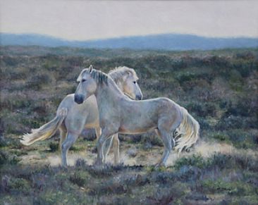 Sunlit Sonata - Wild mustangs of Sand Wash Basin by Michelle McCune