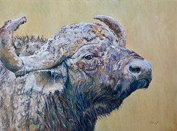 Better Run! - African Cape Buffalo by Michelle McCune