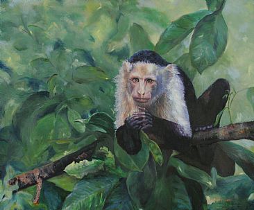Contemplation - White Faced Capuchin Monkey by Michelle McCune