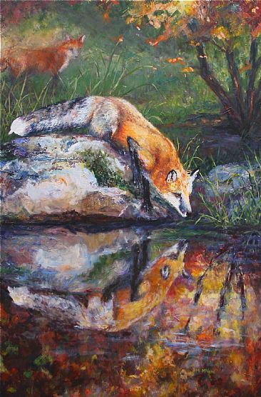 Reflection - Red fox at water by Michelle McCune